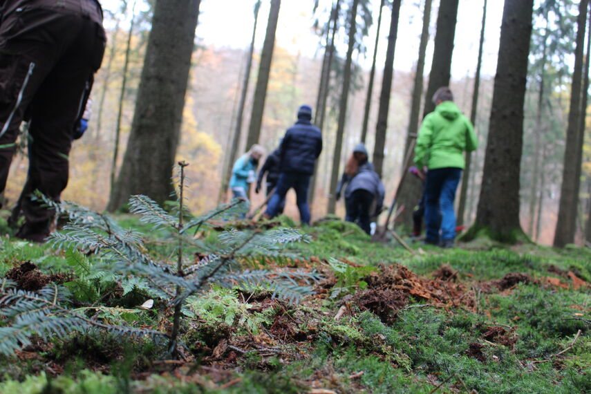 Kinder pflanzen im Wald Bäume.