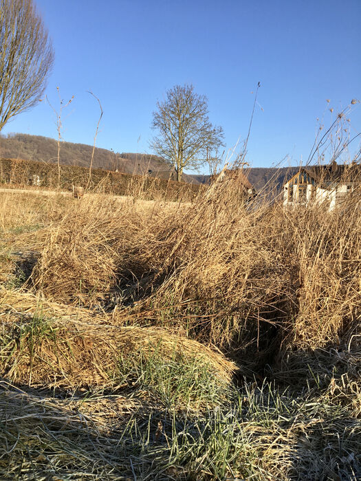 Winterbild einer Schmetterlings-Blühwiese